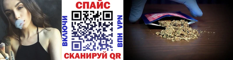 БУТИРАТ буратино  площадка формула  Полярные Зори 