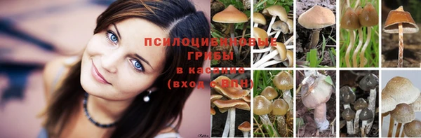 хмурый Нягань