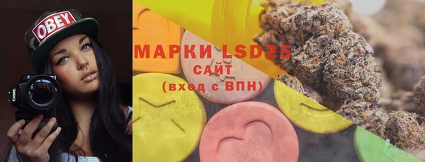индика Нязепетровск