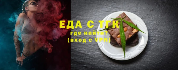 индика Нязепетровск