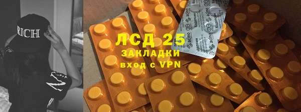 спиды Новокубанск