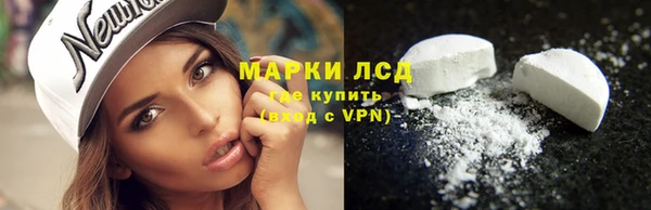индика Нязепетровск