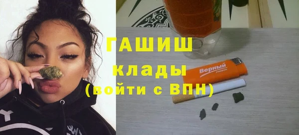 индика Нязепетровск