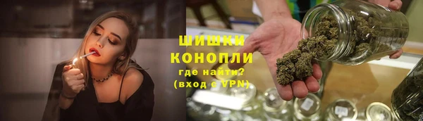 индика Нязепетровск