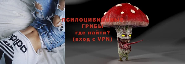 круглые Няндома