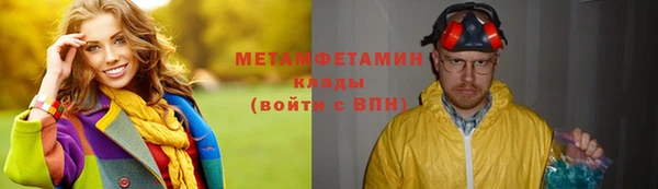 индика Нязепетровск