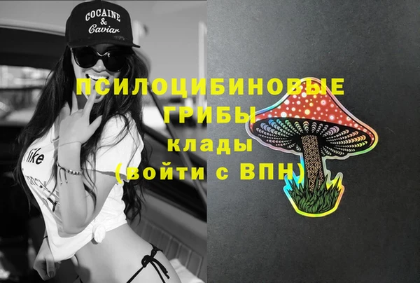 индика Нязепетровск