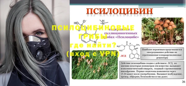 хмурый Нягань