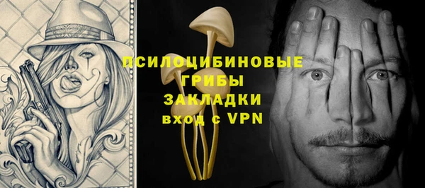 круглые Няндома