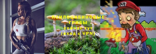 хмурый Нягань