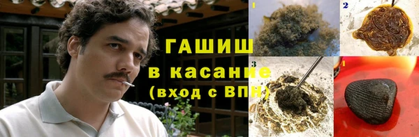 индика Нязепетровск