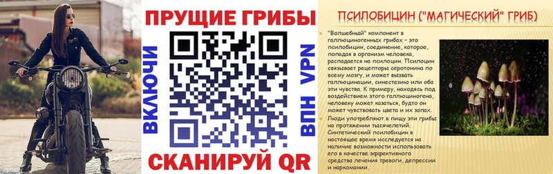 гидра ONION  Полярные Зори  Псилоцибиновые грибы прущие грибы 